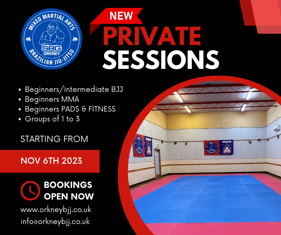 Private BJJ and MMA sessions
